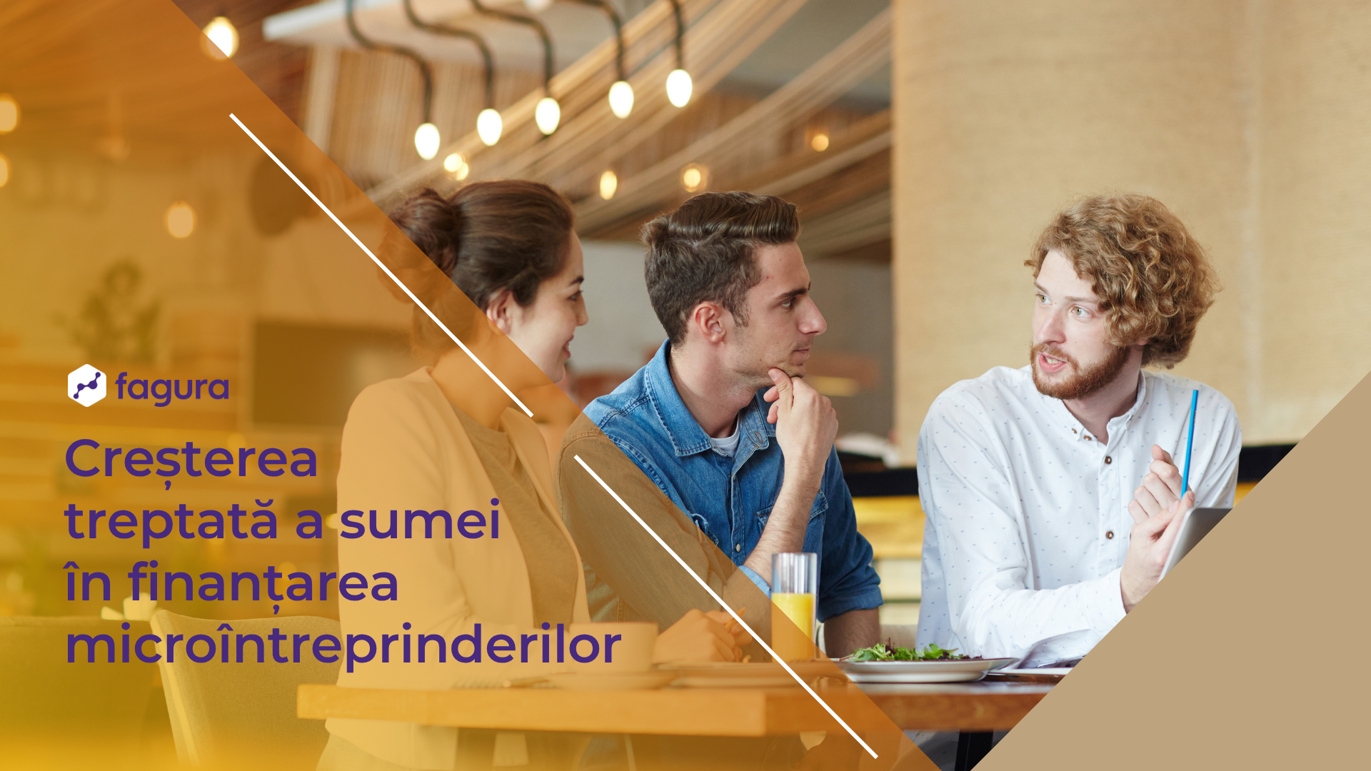 Finanțare pentru companii mici și micro – creșterea treptată a sumei pentru dezvoltare sustenabilă